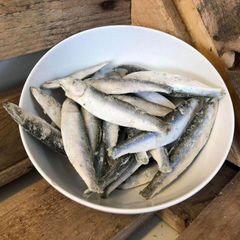 Premium frozen anchovies fresh sea fish whole fish long shelf life quick frozen suitable for export and retail supply - Image 4
