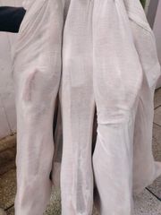 HALAL FRESH CHILLED GOAT MUTTON MEAT/ LAMB MEAT CARCASS ready for export from Pakistan - Image 4