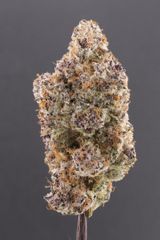 Cannabis - Image 7