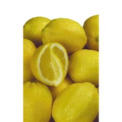 Fresh Eureka Lemon From THAI Color Yellow Harvest Time Sep Shelf Life 2 YEARS Features Gluten-Free Aroma Strong Fragrance - Image 3