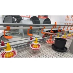 Poultry Farming Automatic Feeder Pan System for Broiler Origin China Model NO. MH Condition New Certificate CE Warranty 1 - Image 6