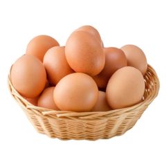 Chicken Eggs Supplier for Food Processing Industry with Reliable Quality and Stable Supply - Image 5