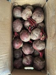 Beetroot Size 5-8 cm Style Fresh/Frozen Material 100% Fresh Weight (kg) 200-300g Shelf Life 12-24 month Quality High - - Image 1