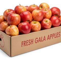 Fresh Gala Apple Export Quality Fruit With Crisp Juicy Texture For Supermarkets Food Service And Bulk Purchasing - Image 1