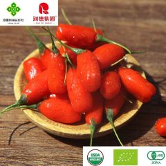 Customizable Goji Berry Packages for Affordable Organic Snacking - Ningxia Runde Biotechnology Co., Ltd.