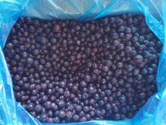Fruit Purity High Color Natural Texture Fresh Freshness High Nutrition Rich Safety Premium Standards Sweetness Natural - Image 1