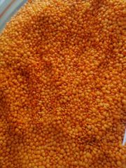 Premium Red Lentils – High-Quality, Organic & Nutritious Pulses for Cooking - Image 3
