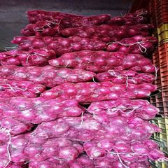 Fresh Organic Red Onions Sprout Round Shape 25kg 24 Months Shelf Life Fast Delivery Best Price Wholesale - Image 1