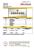 SGS Audit Report certificate from Shijiazhuang Naipu Pump Co., Ltd.