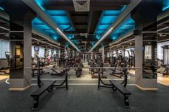 Gym Interior Designing Service Space Efficiency Maximizes Space Efficiency Through Well-planned Layouts Safety Features Includes Safe Flooring, Clear Pathways, And Proper - Image 2
