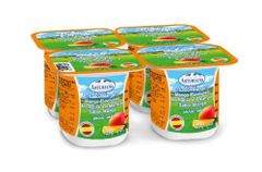Yogurt Plain Shelf Life Long Storage Requirement No Refrigeration - Image 1
