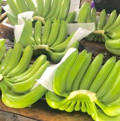 Natural Fresh Cavendish Banana Export from Vietnam with Consistent Quality for Global Wholesale Buyers - Image 4