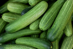 Fresh Cucumber – product photo 2, product detail gallery