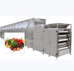 Fruit Vegetable Processing Machine Tunnel Drying Oven Vegetable Dryer Drying Machine - Image 2