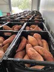Sweet Potatoes – product photo 2, product detail gallery