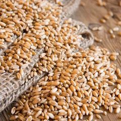 Wholesale Price Milling Wheat for Food Manufacturers Seeking Quality Grain for Flour Production - Image 4