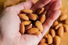 Wholesale Good Quality Almond Nuts Raw Nutrition Organic Almond Nuts for Bake Roasted Almond Nut Price Nationwide Shipping - Image 3