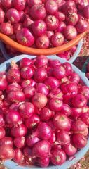 Red Onion – product photo 3, product detail gallery
