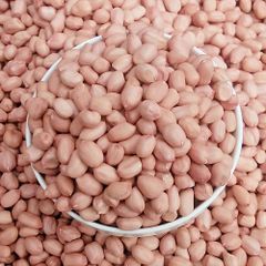 High Quality Raw Peanuts Without Shell Raw Peanuts Peanuts Peanut Harvester Agriculture - Image 2