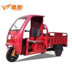 Jinpeng Delivery Goods Electric Cargo Tricycle for Canada Market - Jiangsu Jinpeng Group Co., Ltd.
