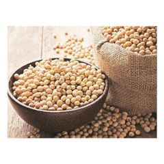 Brazil Soybean frozenchickenexports.com - Image 1