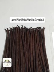 Vanilla Bean Planifolia Java Indonesia – product photo 2, product detail gallery