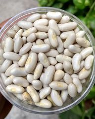 Top Grade White Kidney Beans Premium Whole Seeds Fresh Quality Rich Nutrition Ideal For Bulk Buyers And Export Supply Chain Buy Now Fast Delivery Premium Quality Wholesale – product photo 2, product detail gallery