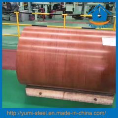 New Hot Dipped Prepainted Galvanized Steel Coils PPGI PPGL - Image 3