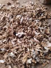 Dry Ginger Slice (Split) - Image 2