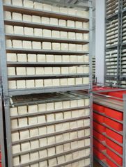 Analogue Mozzarella Blocks (2.5kg, 3kg) - Image 2
