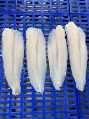 High quality frozen pangasius fillet in fish basa - Image 2