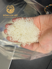 ST25 rice Viet Nam - Image 1