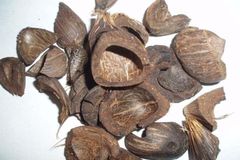Palm kernel Shell Packaging - Image 1