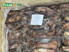 Frozen Black Squid Size 10-15 Color Black Quality High Origin Vietnam Port Cat Lai Port Freshness Level Frozen Packaging 10kgs/carton - Image 4