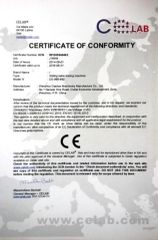Sliding Table Ironing & Fusing Machine certificate from Wenzhou Dashun Machinery Manufacture Co., Ltd.