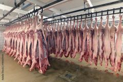 Pork Meat Grade A Type Fresh Pork Meat Packaging Vacuum sealed - Image 1