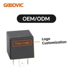 Customized Hot Products Auto Starter Relay OEM Relay Gw820q EMC EMI Pin Number Four Model NO. GW820Q HS Code 853641000 Input Parameter - Image 2