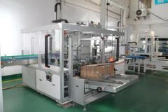 Vertical Pick and Place Case Loading Machine - Image 6