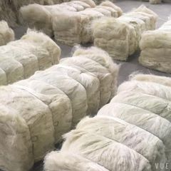Processed Sisal Fiber For Twine Carpet Production Clean Natural Sisal Fiber Bulk Order Availability - Image 4