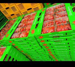 Company – thumbnail 5 of 9, supplier detail gallery