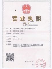 business license certificate from Shanghai Yiying Crane Machinery Co., Ltd.