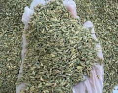 Fennel Seeds – product photo 4, product detail gallery