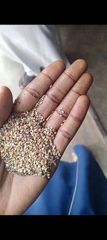 Premium Natural Sesame Seeds – Nigerian Origin – product photo 2, product detail gallery