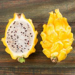 High Quality Fresh Yellow Dragon Fruit Best Price Pitaya with GAP Certification for Plant Application Exported from Vietnam - Image 3