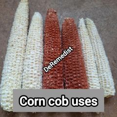 Corn Cob - Image 1