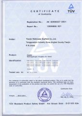 EN74-1 Certificate-Germany Scaffold Coupler certificate from Nanjing Wellmade Metalwork Co., Ltd.