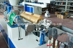 Biodegradable Eco Friendly Single Color PLA Drinking Straw Making Machine - Image 4
