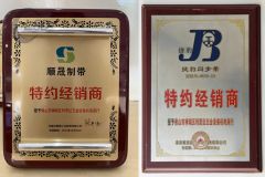 Franchise dealer certificate from Foshan LSD Transmission Equipment Co., LTD