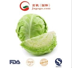 Organically Grown Chinese Green Cabbage Size 1.5kg Kind Fresh Color Green Origin China Trademark GOGO HS Code - Image 1