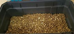 Gold Nuggets / Gold Bar - Image 3
